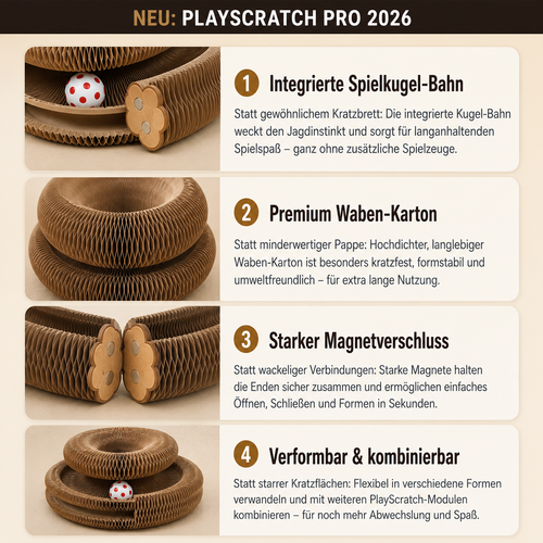 PlayScratch