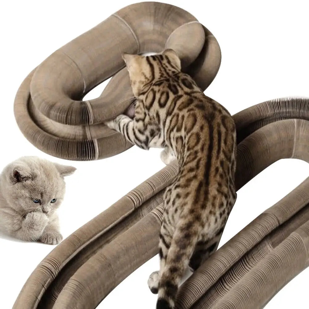 Cat Magic Scratching Board Interactive Toys