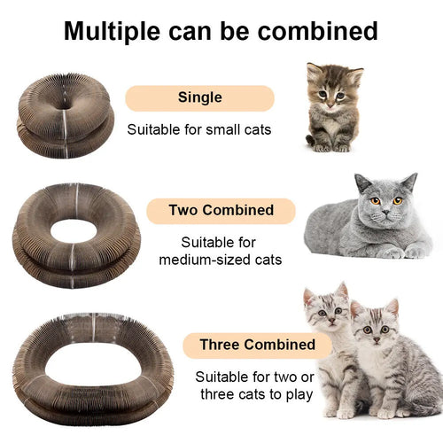 Cat Magic Scratching Board Interactive Toys